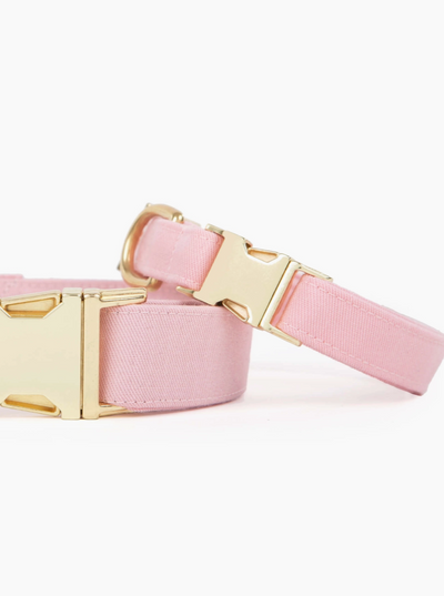 Petal Pink Dog Collar - Dear Sorella